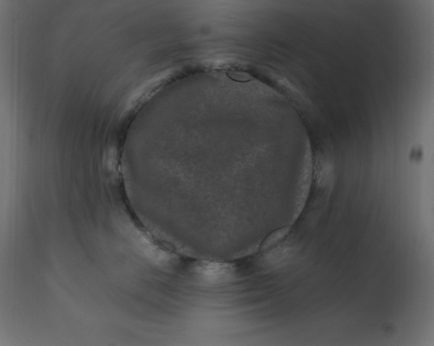 X0000110730670200906261520