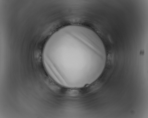 X0000110730671200906261520