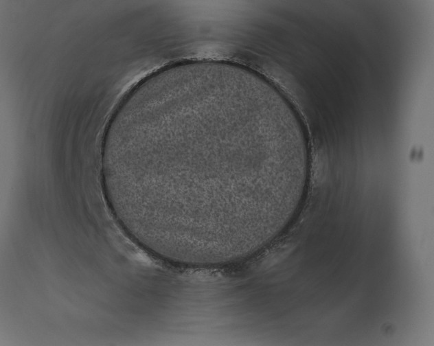 X0000110730673200906261520