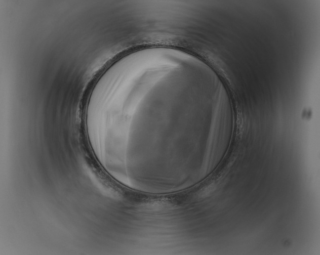 X0000110730674200906261520