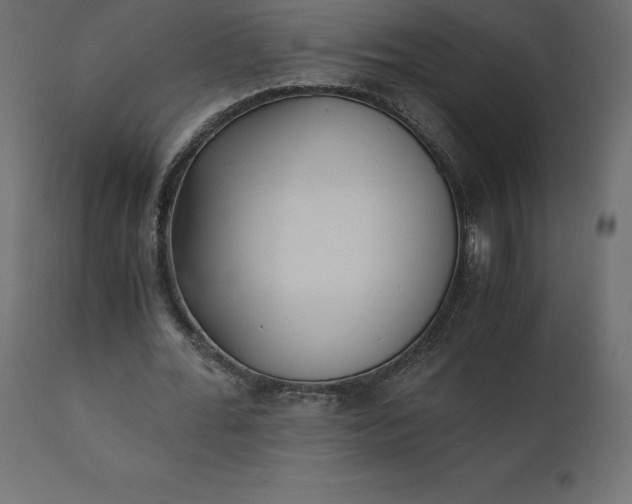 X0000110730676200906261520