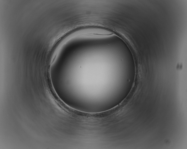 X0000110730677200906261520