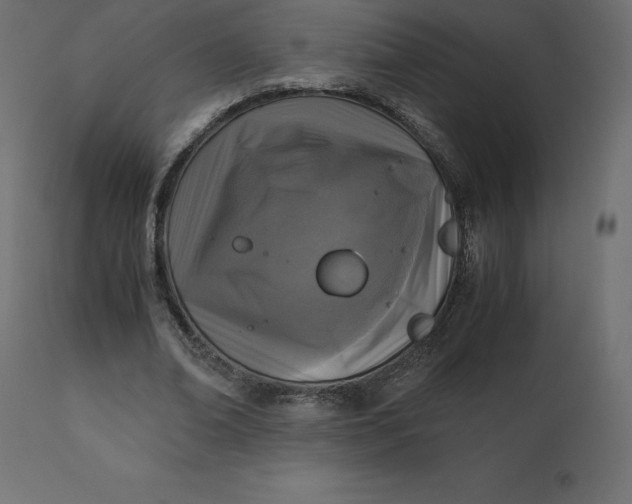 X0000110730678200906261520