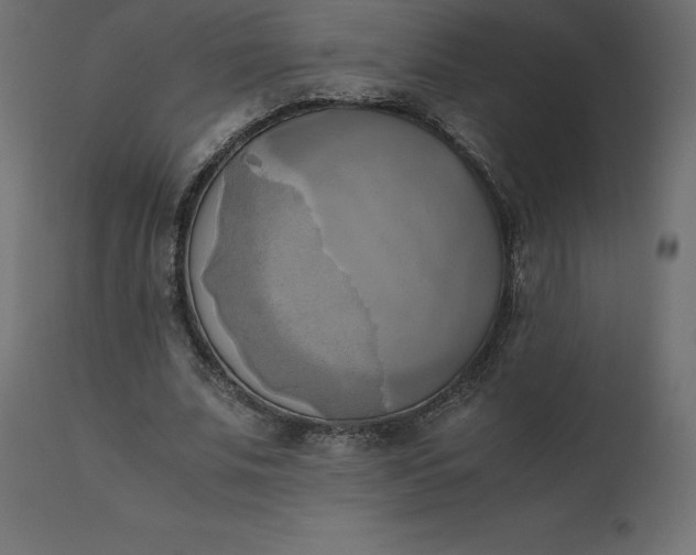 X0000110730679200906261520