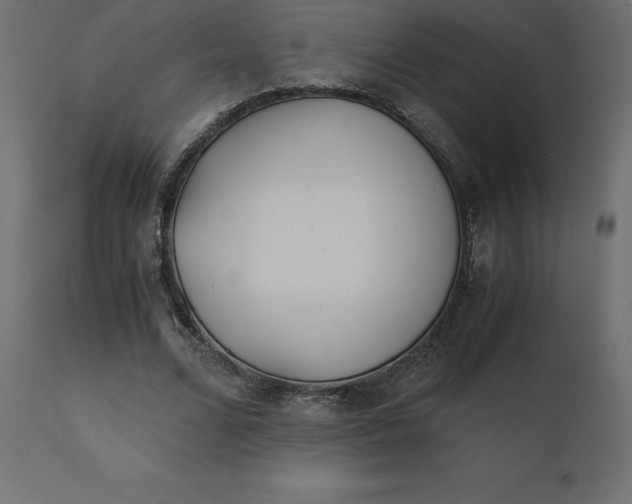 X0000110730680200906261520