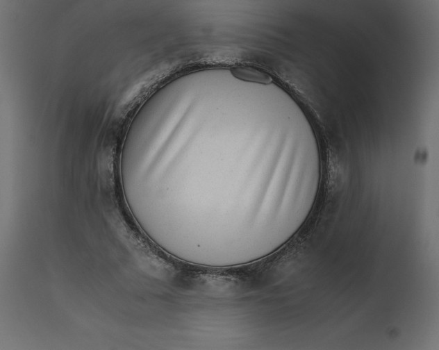 X0000110730681200906261520