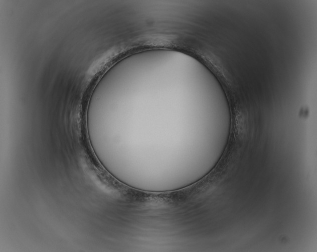 X0000110730682200906261520