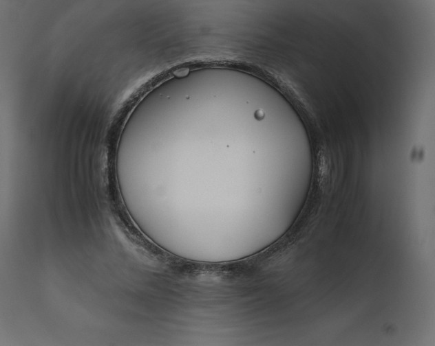 X0000110730684200906261519