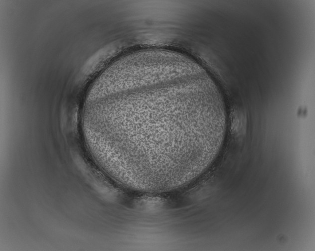 X0000110730685200906261519