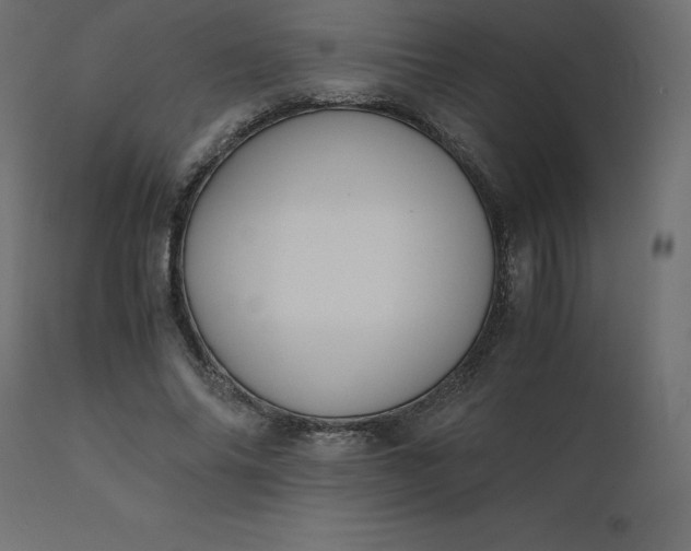 X0000110730686200906261519