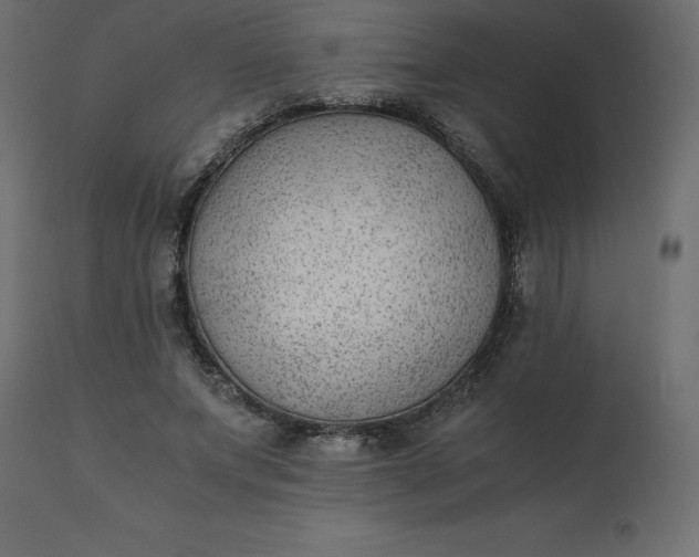 X0000110730687200906261519