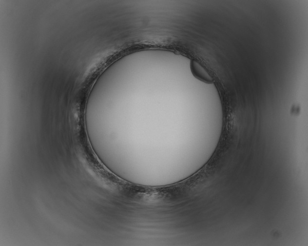 X0000110730688200906261519