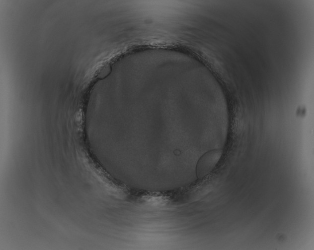 X0000110730689200906261519