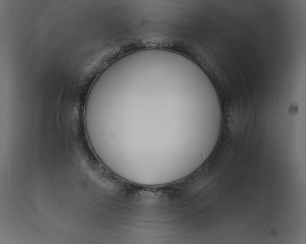 X0000110730690200906261519