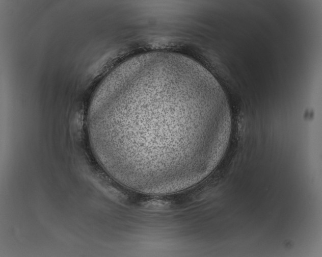 X0000110730691200906261519