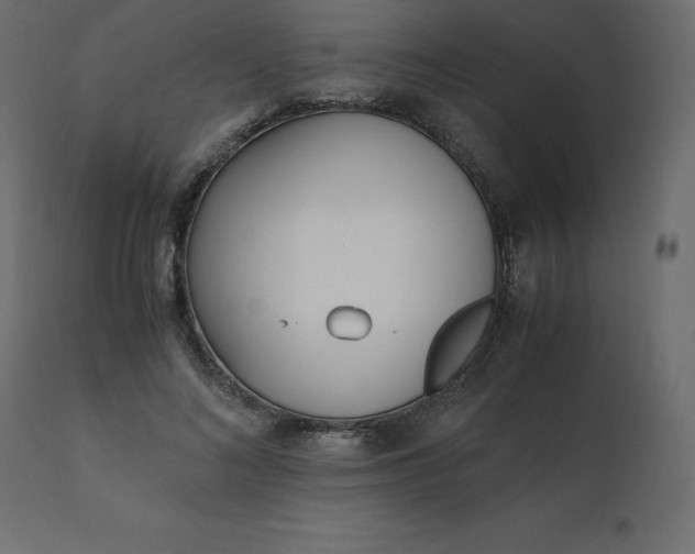 X0000110730692200906261519