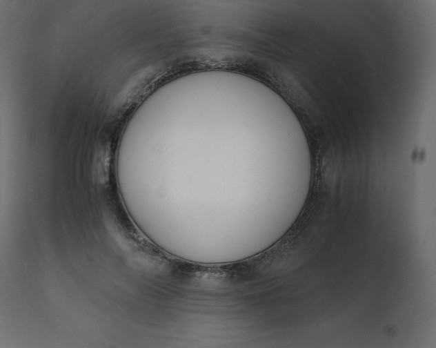 X0000110730694200906261519