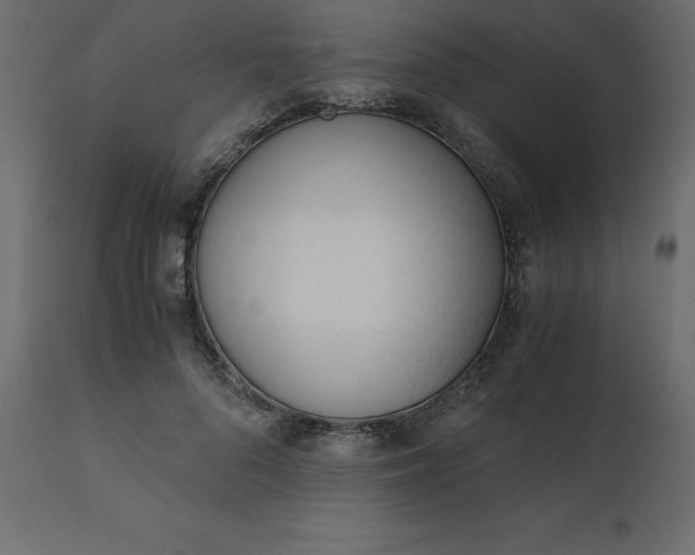 X0000110730696200906261519