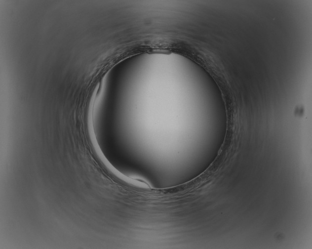 X0000110730697200906261519