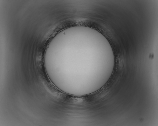 X0000110730698200906261519