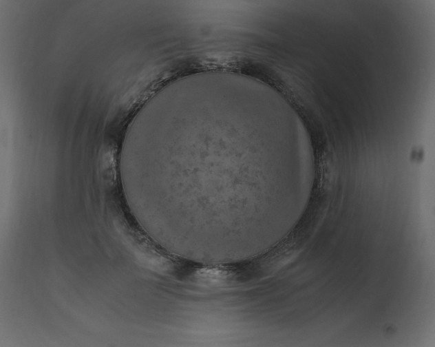 X0000110730699200906261519