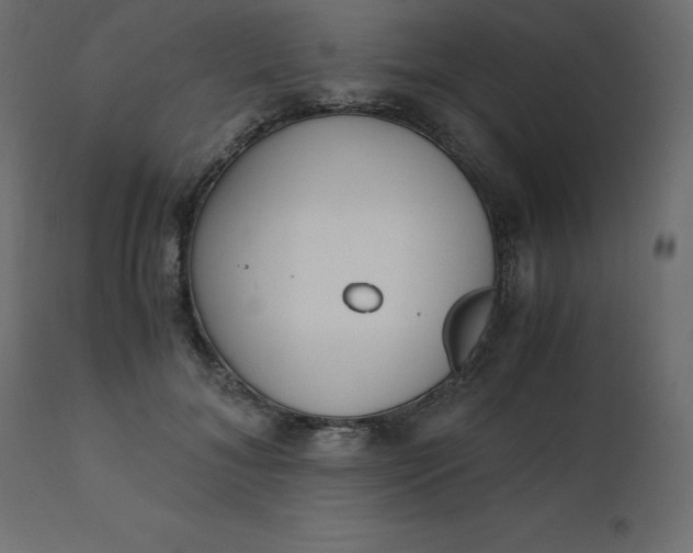 X0000110730700200906261519