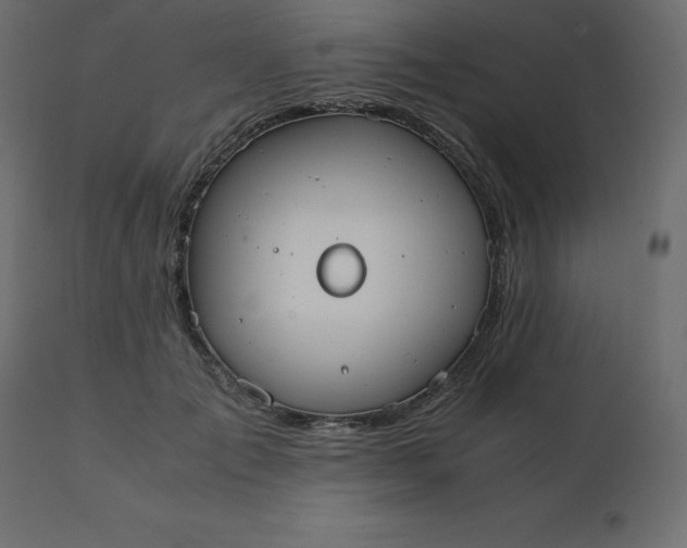 X0000110730701200906261519