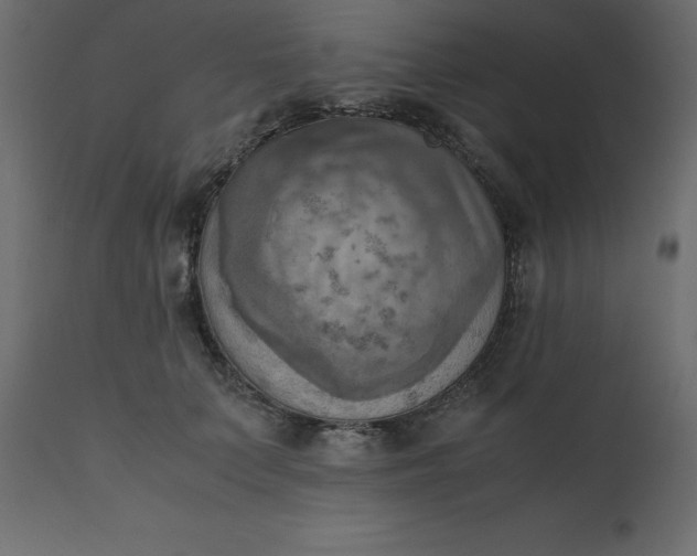 X0000110730703200906261519