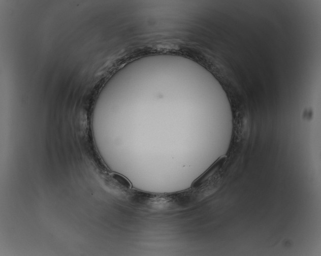 X0000110730704200906261519