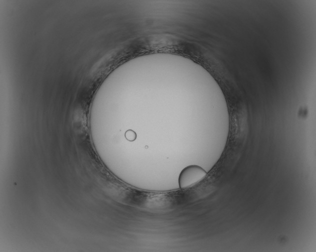 X0000110730705200906261519