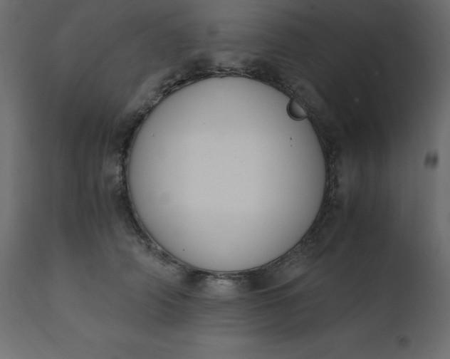 X0000110730706200906261519