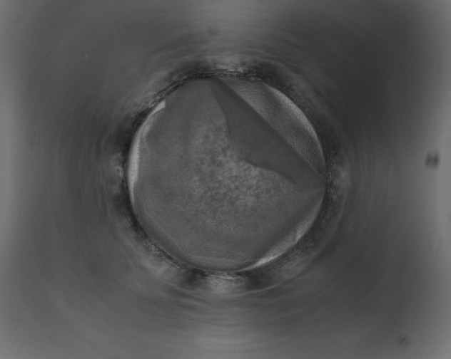 X0000110730707200906261519