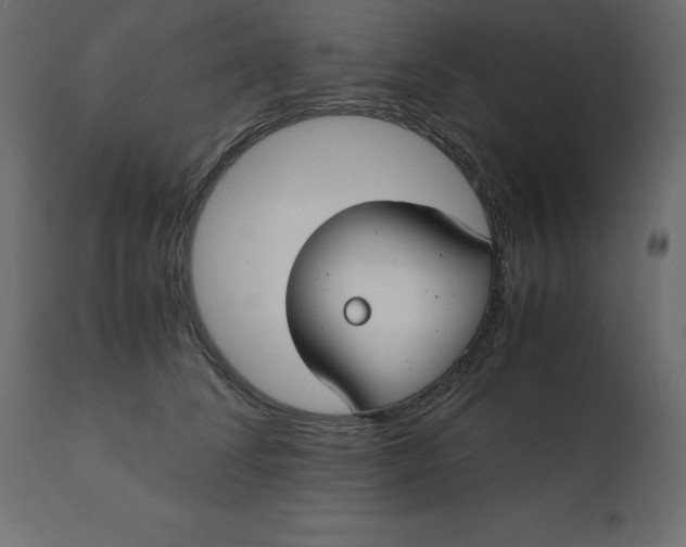 X0000110730708200906261519