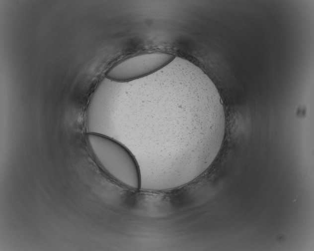 X0000110730709200906261519