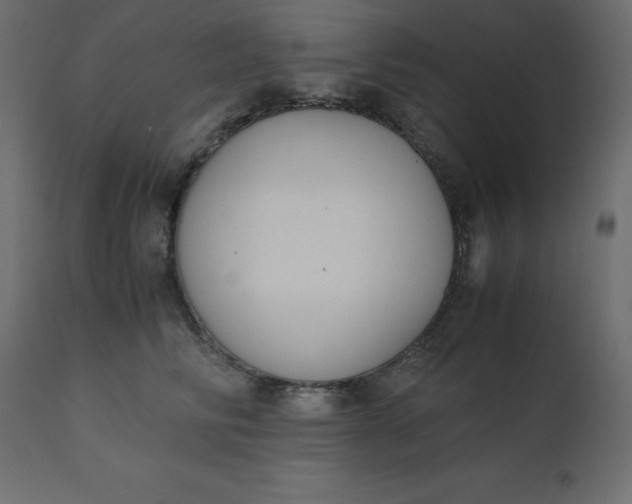 X0000110730710200906261519