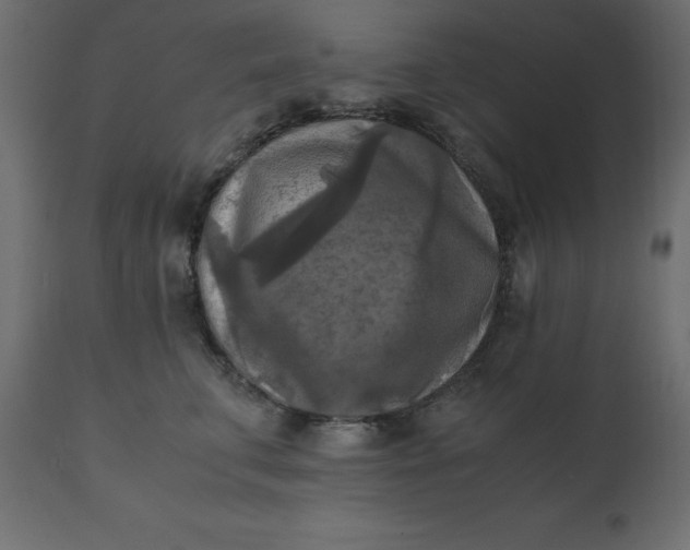 X0000110730711200906261519