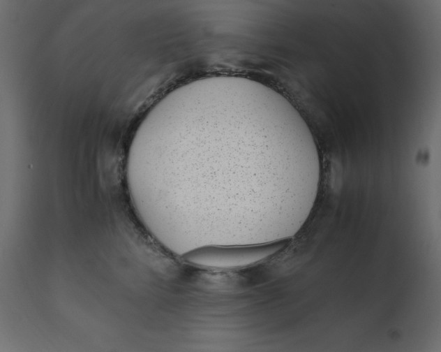 X0000110730712200906261519