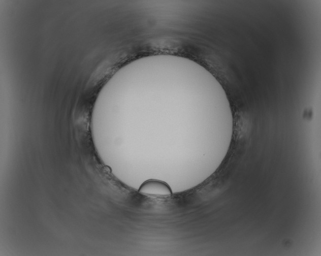 X0000110730713200906261519