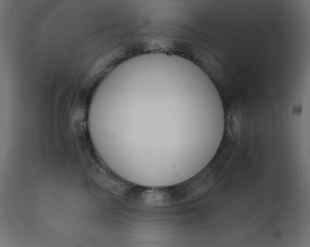 X0000110730714200906261519