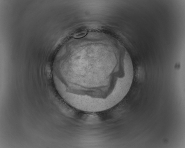 X0000110730715200906261519