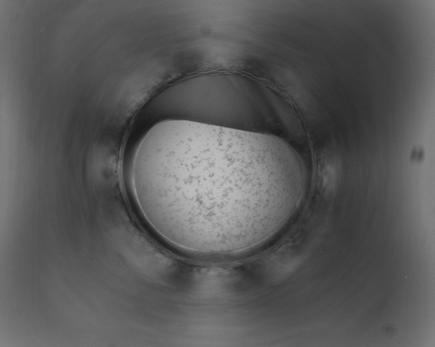 X0000110730716200906261519