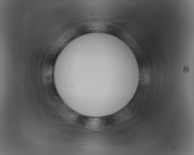 X0000110730717200906261519