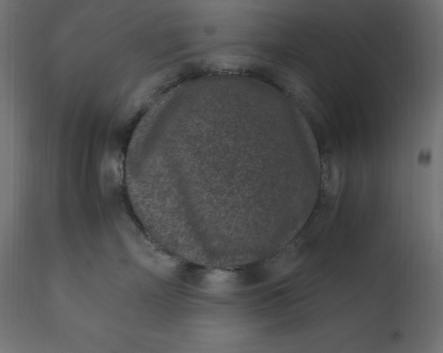 X0000110730718200906261519