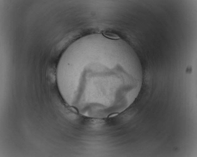 X0000110730719200906261519