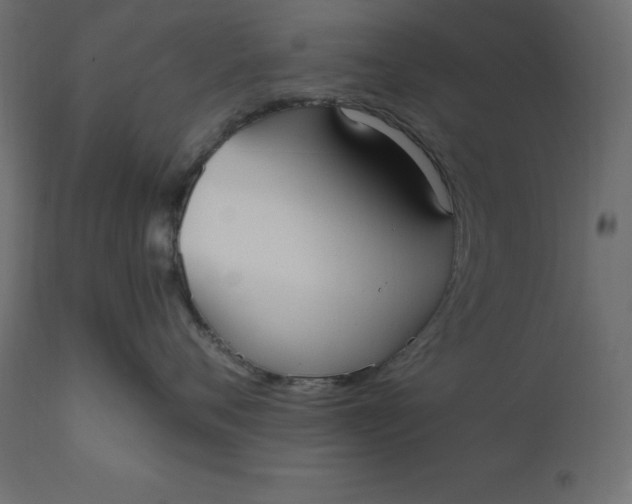 X0000110730720200906261519