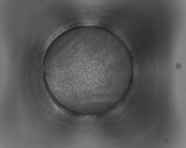 X0000110730721200906261518