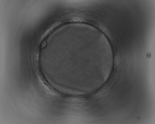 X0000110730722200906261518