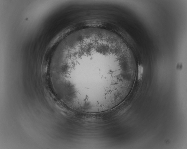 X0000110730723200906261518