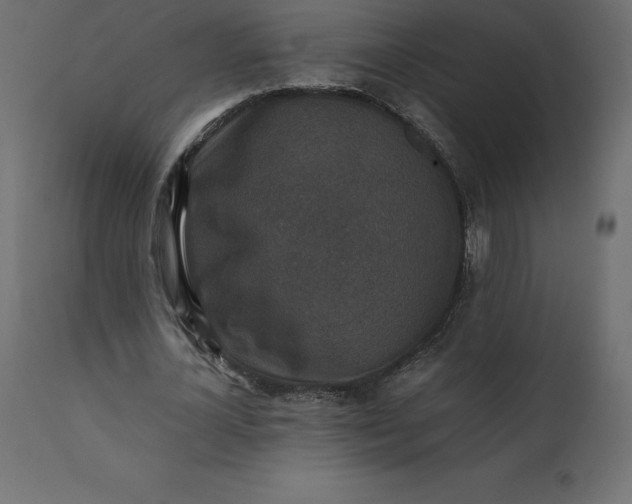 X0000110730724200906261518