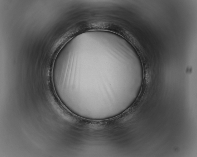 X0000110730725200906261518